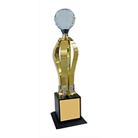 Trophies & Awards - MTC-1071