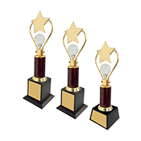 Trophies & Awards - MTC-1072